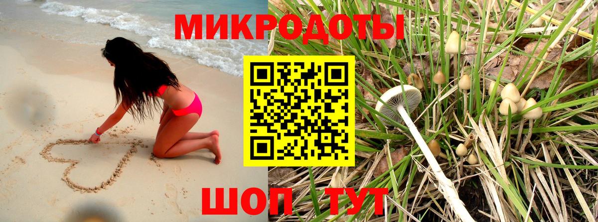 Всеволожск  Псилоцибиновые грибы мицелий  Вход с VPN  Галлюциногенные грибы MAGIC MUSHROOMS 