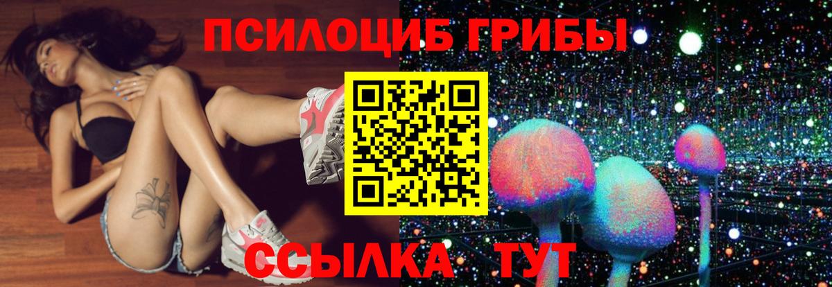 Альфа ПВП Всеволожск
